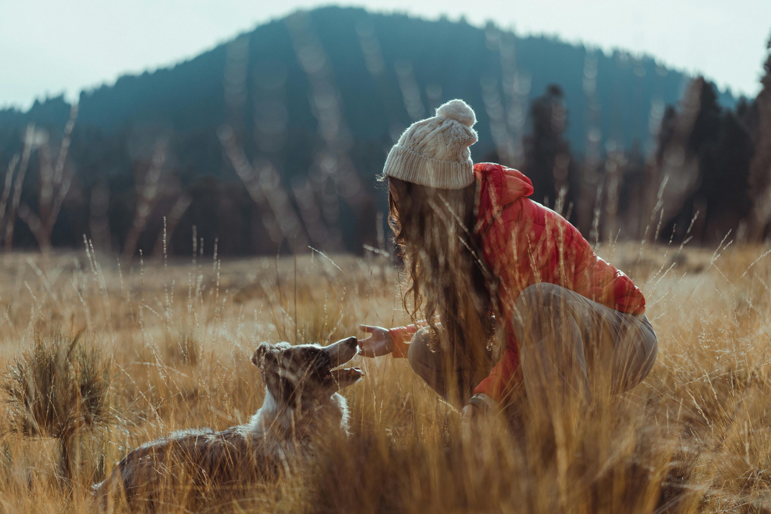 comment apprendre le rappel à son chien